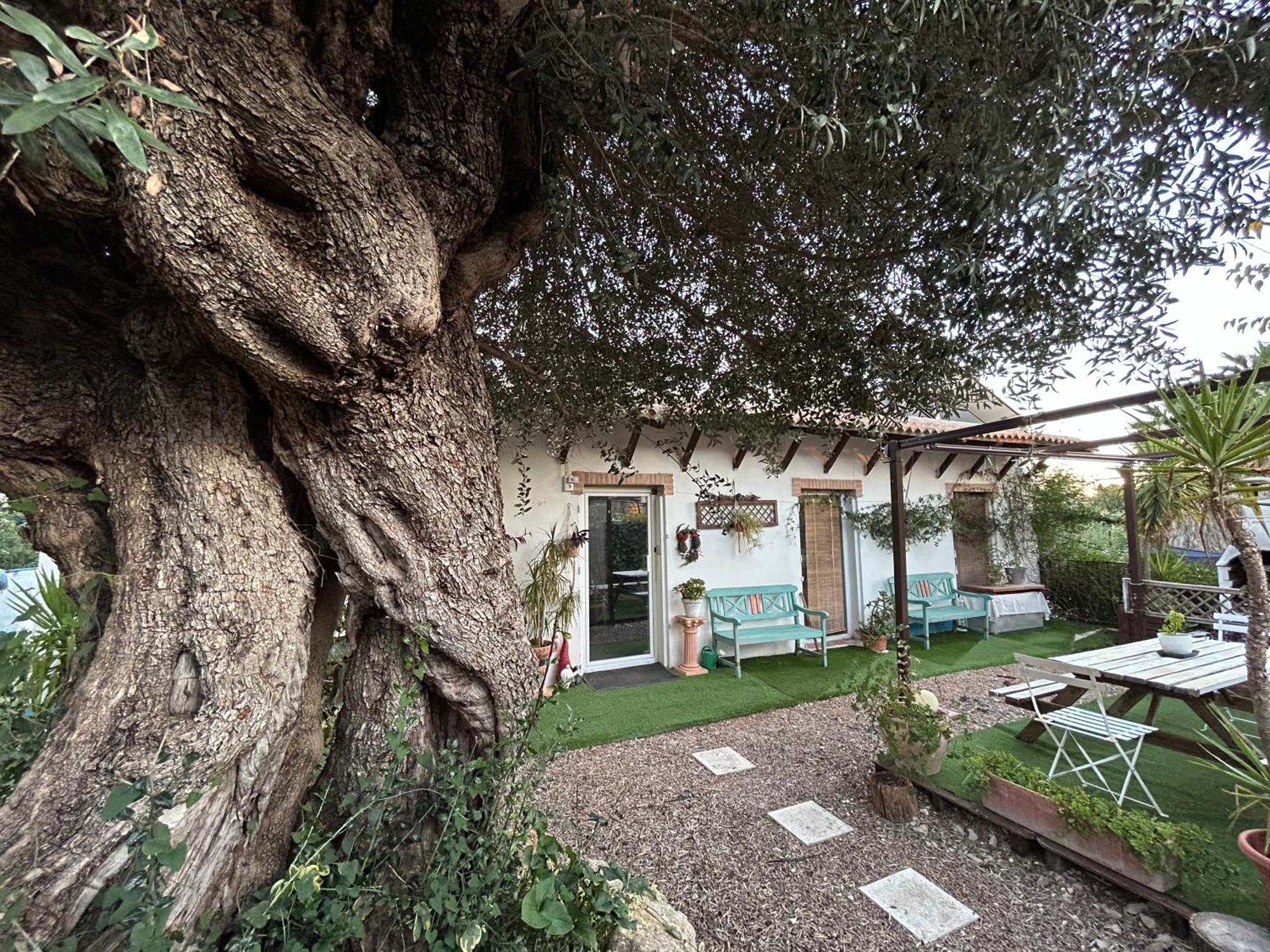 Loft Independiente "La Casita Del Olivo Centenario" Córdoba Exteriér fotografie