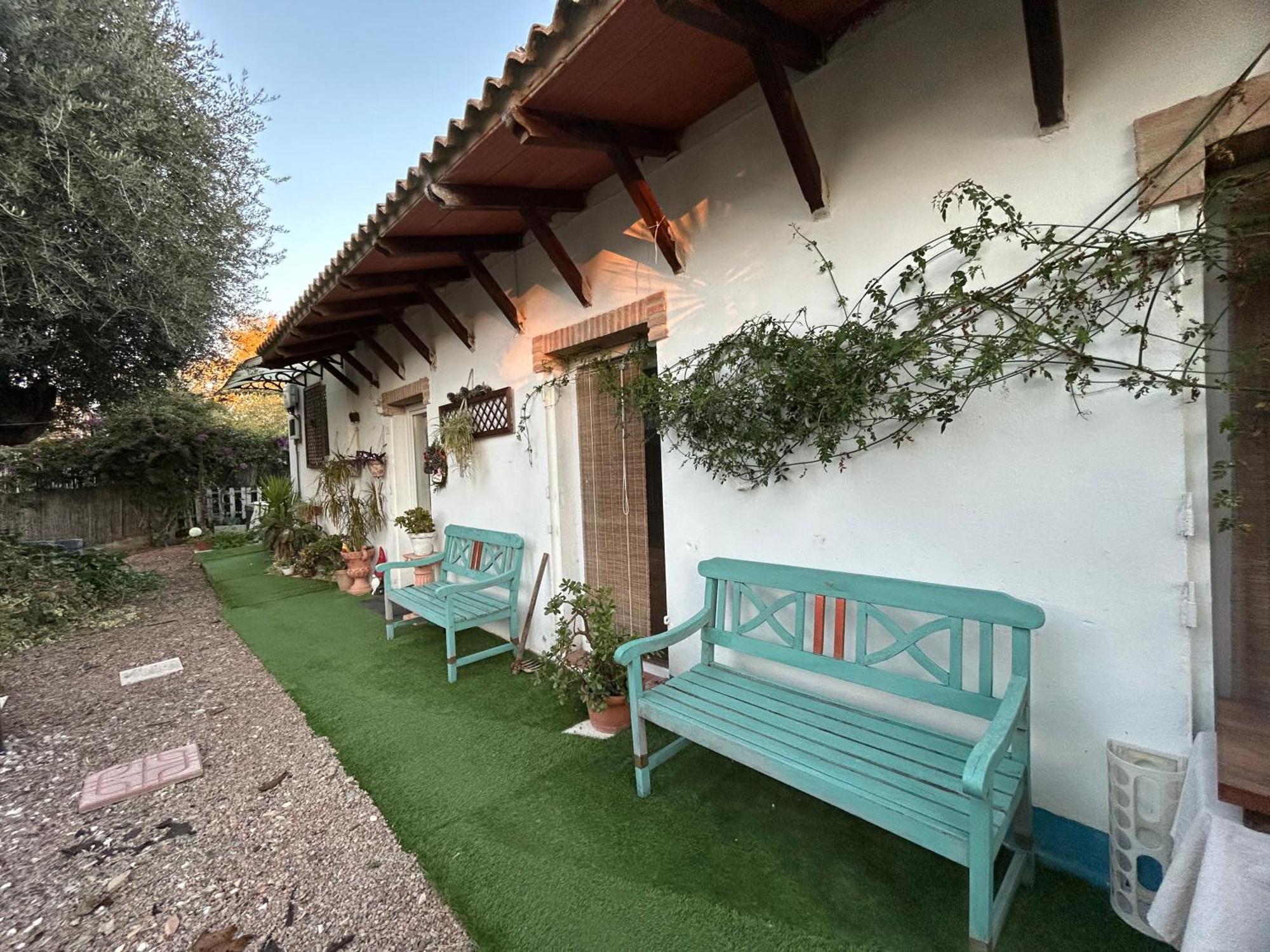 Loft Independiente "La Casita Del Olivo Centenario" Córdoba Exteriér fotografie