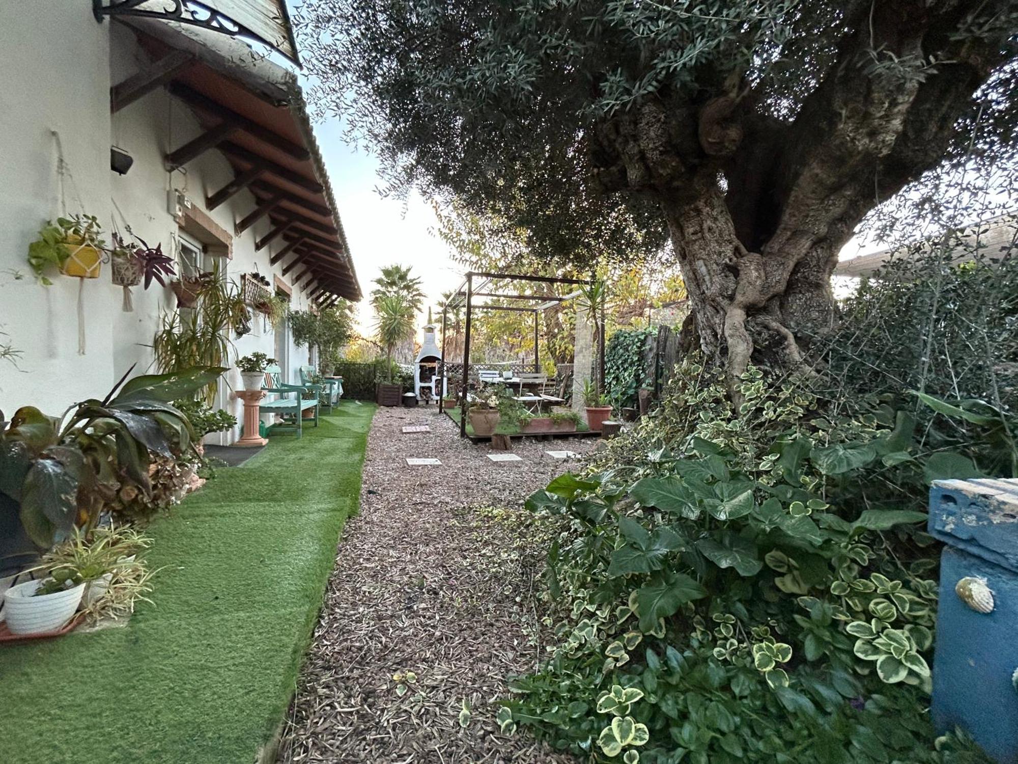 Loft Independiente "La Casita Del Olivo Centenario" Córdoba Exteriér fotografie